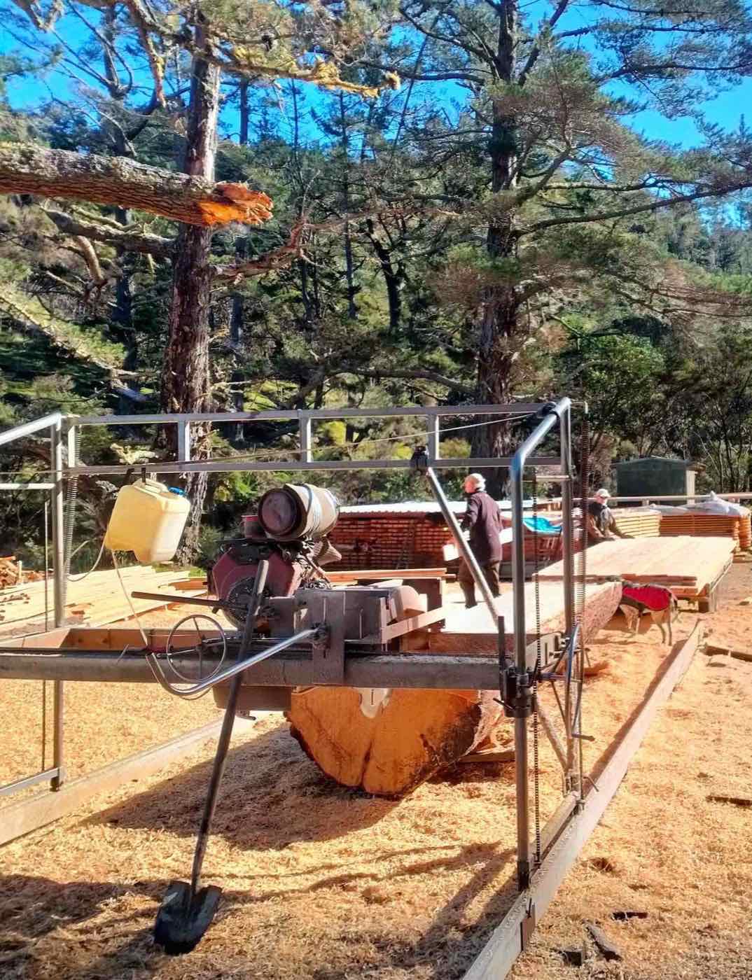Trees2Timber portable sawmill cutting a log on site